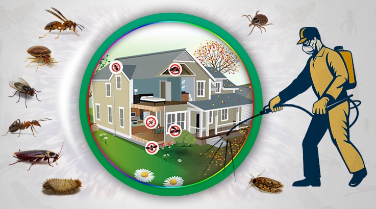 Delice Böcek İlaçlama